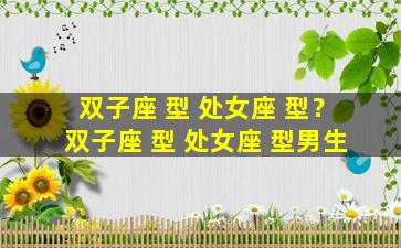 双子座 型 处女座 型？双子座 型 处女座 型男生